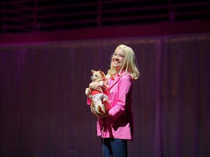 Sarat Komedi dan Inspiratif, Musikal Legally Blonde Sukses Digelar di Jakarta