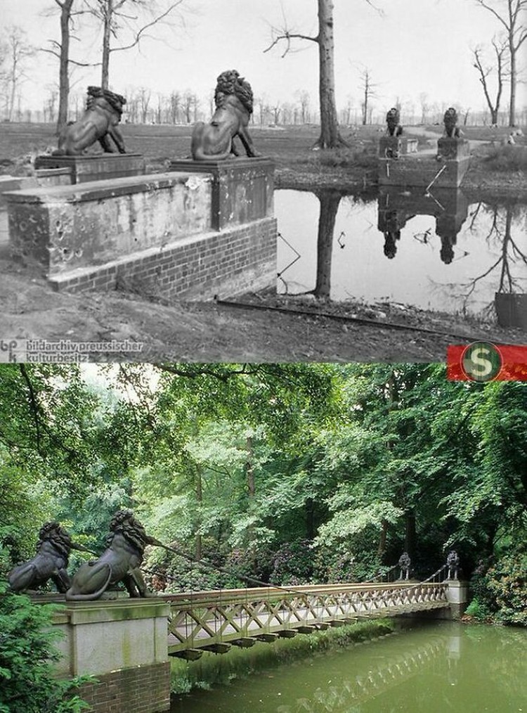 Kumpulan Foto Dulu dan Sekarang, Bikin Tersenyum dan Terpukau