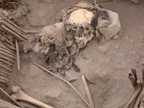 Arkeolog Temukan Mumi Anak-anak Berusia 1.000 Tahun, Begini Penampakannya