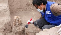 Semuanya ditemukan di lokasi yang dulunya merupakan tempat upacara sakral yang kini berada di salah satu lingkungan tertua di Lima modern. (Foto: REUTERS/Anthony Marina)