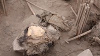 Arkeolog menyebut mumi berasal dari budaya pra-Inca Ychsma yang menghuni pantai tengah Peru dari sekitar 900 hingga 1450 M, difoto di situs arkeologi Huaca La Florida, di Lima, Peru, 21 November 2023. (Foto: REUTERS/Anthony Marina)