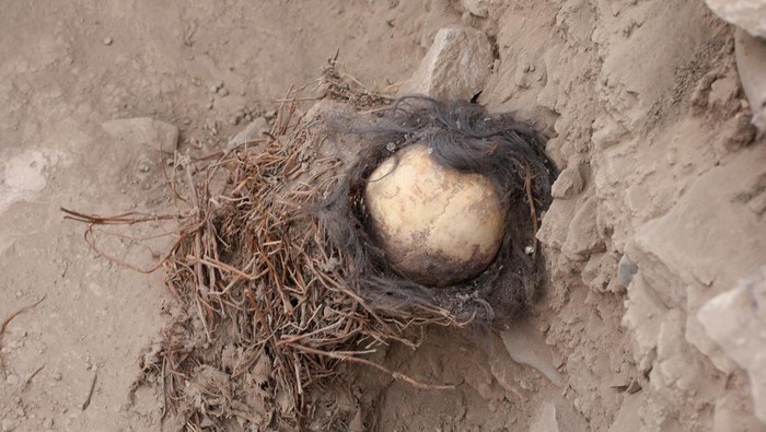Penampakan Mumi Anak Berusia 1.000 Tahun yang Ditemukan di Peru People stand around the Huaca La Florida archaeological site where five mummies, that according to archaeologists belong to the pre-Inca Ychsma culture that inhabited the central coast of Peru from approximately 900 to 1450 AD., were found, in Lima, Peru, November 21, 2023. REUTERS/Anthony Marina NO RESALES. NO ARCHIVES