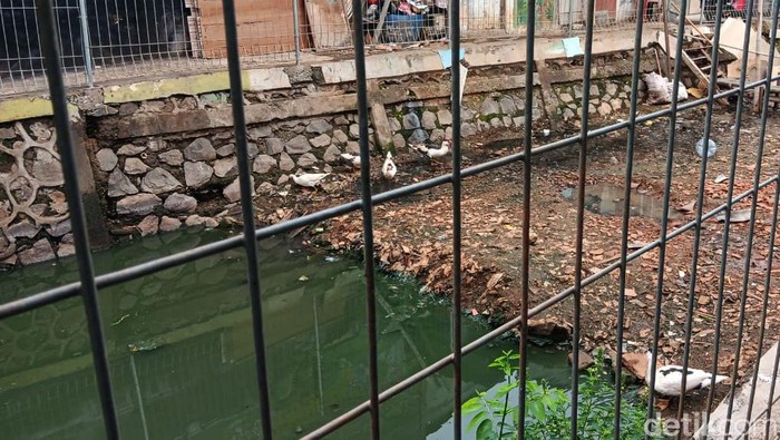 Sodetan kali di Kampung Sumur RT 02/RW 17 Kelurahan Klender, Kecamatan Duren Sawit, Jakarta Timur, dibiarkan menjadi proyek terbengkalai. Proyek ini sendiri sudah terhenti sejak 2005 akibat adanya masalah pembebasan lahan.