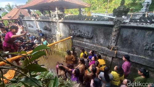 Puluhan remaja anggota sekaa teruna mengikuti tradisi Megeburan di Desa Sekumpul, Kecamatan Sawan, Kabupaten Buleleng, Bali, Senin (27/11/2023). (Foto: Made Wijaya Kusuma/detikBali)