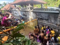 Ketika Pria Jadi Rebutan Wanita dalam Tradisi Megeburan di Sekumpul Buleleng