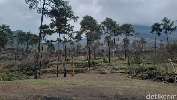 Salah satu spot di Tegal Malaka, Garut