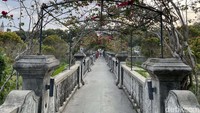 Traveler dapat berjalan-jalan di sepanjang jembatan sambil menikmati keindahan bangunan sekitar dan mengabadikannya dalam foto-foto yang memesona.  