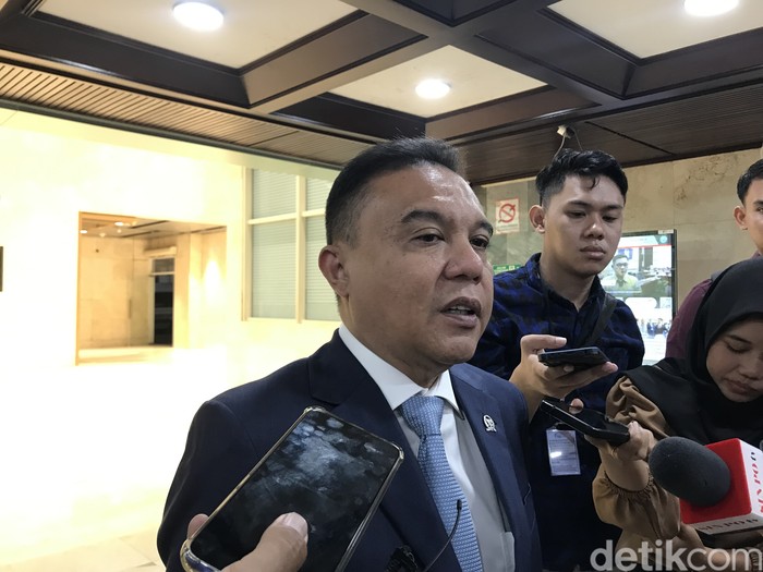 Wakil Ketua DPR Dasco. (Firda Cynthia Anggrainy/detikcom).