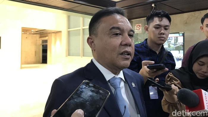Wakil Ketua DPR Dasco. (Firda Cynthia Anggrainy/detikcom).