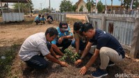 Kepala Kampung Salor Indah Boyadi mengatakan tanaman kelengkeng ini nantinya akan ditanam di sejumlah fasilitas umum seperti rumah ibadah.  
