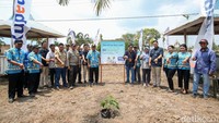 Boyadi menyebut pihaknya akan berkoordinasi dengan pengurus rumah ibadah terkait perawatan pohonnya. Selain itu, bibit kelengkeng ini juga rencananya akan ditanam di sekolah SD.  