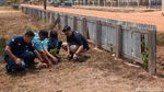 110 Bibit Kelengkeng Hijaukan Desa Salor Indah Papua Selatan