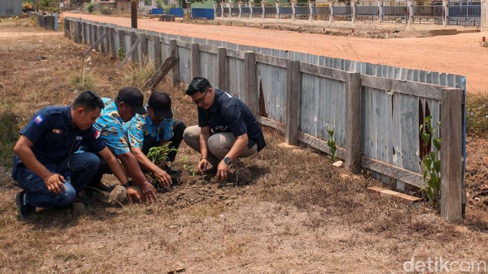 110 Bibit Kelengkeng Hijaukan Desa Salor Indah Papua Selatan Warga Desa Salor Indah, Provinsi Papua Selatan, menerima bantuan 110 bibit pohon kelengkeng. Bantuan ini diberikan melalui Program BRI Menanam.