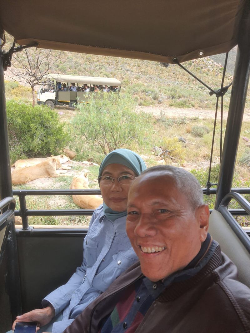 Bersaafari di Cape Town, Afrika Selatan
