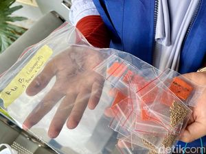 Ratusan Ember Nyamuk Wolbachia Ditebar di Ujungberung Bandung
