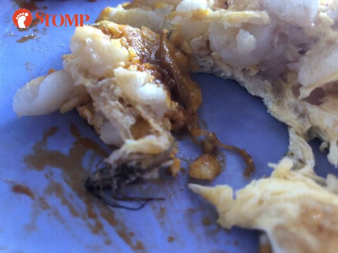 Duh! Dikira Daun Bawang, Pelanggan Ini Hampir Telan Kecoak dalam Kuenya
