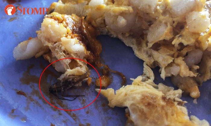 Duh! Dikira Daun Bawang, Pelanggan Ini Hampir Telan Kecoak dalam Kuenya