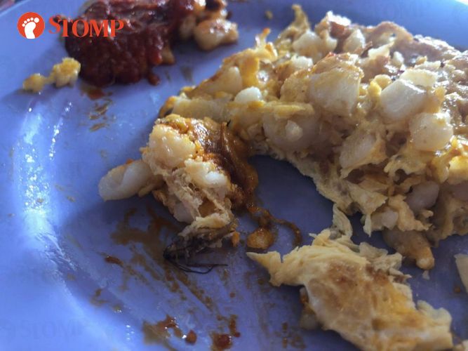 Duh! Dikira Daun Bawang, Pelanggan Ini Hampir Telan Kecoak dalam Kuenya