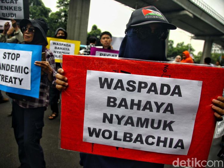 Massa Geruduk Kemenkes Tolak Penyebaran Nyamuk Wolbachia