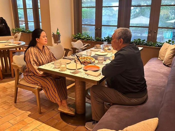 Menko Luhut bertemu Ketua DPR Puan Maharani