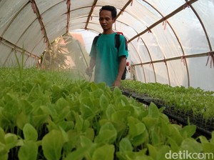 Memupuk Asa dari Penyemaian Menjaga Ketahanan Pangan