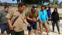 Selain penanaman 100 bibit terumbu karang, PTT bersama TNTC juga melepas 2 ekor tukik di perairan pantai Kampung Isenebuai, Kabupaten Teluk Wondama 