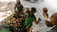 Kelapa yang sudah tua biasa berwarna cokelat. Setelah itu, ia membawanya menggunakan gerobak yang diangkut menggunakan sapi ke tempat pengolahan. Usai dimasak, kelapa tersebut diambil dagingnya dan dijual. 