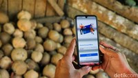 Nikson memulai usahanya dengan modal awal Rp 50 juta. Ia pun mencoba peruntungannya dengan meminjam modal dari BRI sebesar Rp 200 juta. Uang itu pun ia gunakan untuk membeli lahan dan membeli bibit pohon kelapa. 