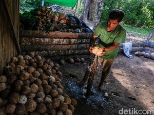 Kementan Jamin Koperasi Merah Putih Tak Matikan Bisnis di Desa