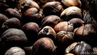 Kopra dijual Rp 7.500 per kilogram. Nikson bisa mendapat kisaran Rp 30-an juta dalam waktu 3 bulan dari usaha kopra. 