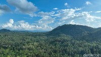 Meski masih menggunakan cara tradisional, kopra merupakan salah satu usaha yang membuat Nikson bisa mendulang cuan sampai Rp 30-an juta dalam waktu tiga bulan.  