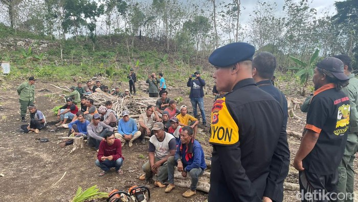 13 Orang Pembalakan Liar di Kawasan Perhutani Pangandaran Diamankan Brimob