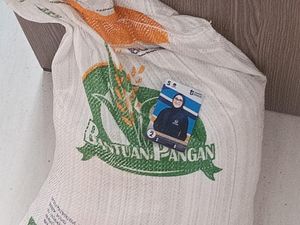 Bantahan Putri Bupati Pinrang Maju Caleg Minta Bantuan Lurah Bagi-bagi Beras
