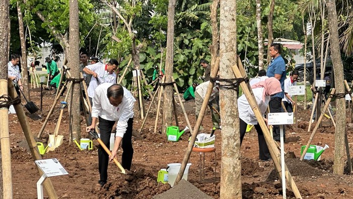 Didampingi Heru Budi, Jokowi Tanam Pohon di Pulo Gadung Jaktim
