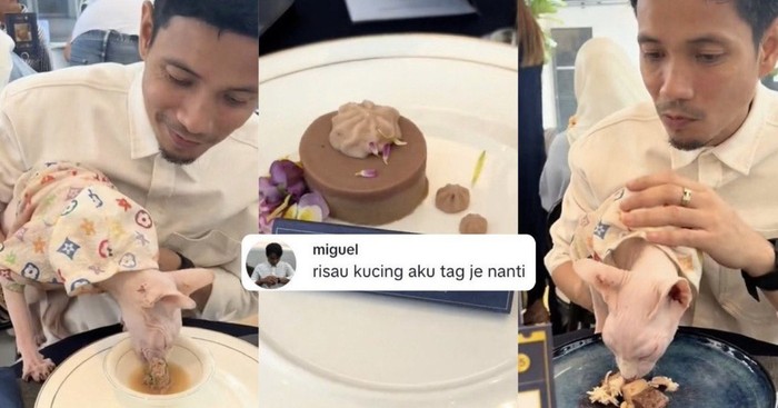 Kafe di Malaysia Ini Tawarkan Menu Fine Dining Mewah Untuk Kucing