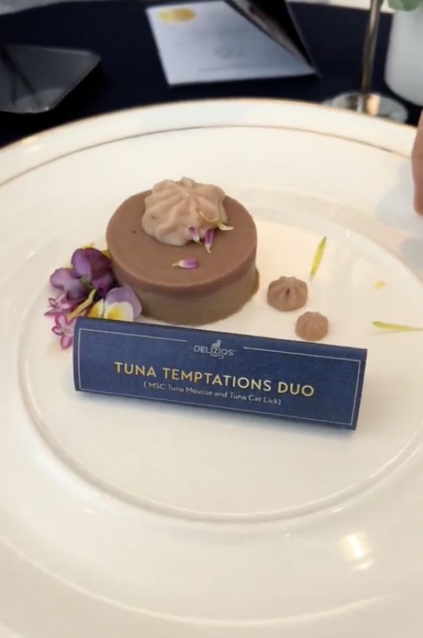 Kafe di Malaysia Ini Tawarkan Menu Fine Dining Mewah Untuk Kucing