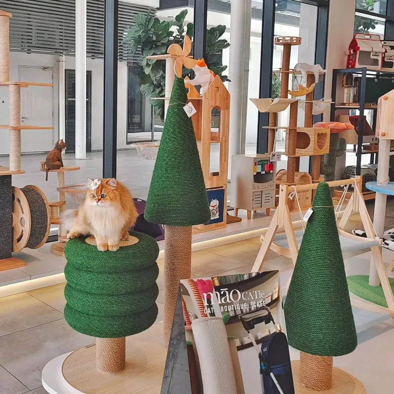 Kafe di Malaysia Ini Tawarkan Menu Fine Dining Mewah Untuk Kucing
