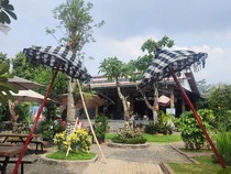 Menikmati Nuansa Bali dan Mengenali Aneka Pohon Fosil di Kamboja Green House