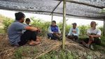 Kisah Mantri Perempuan BRI di Merauke