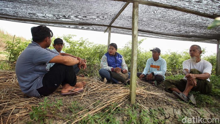 Kisah Mantri Perempuan BRI di Merauke Agustina Etwiory atau biasa disapa Ina adalah seorang tenaga pemasar atau mantri perempuan BRI di Merauke. Begini kisahnya menjadi mantri BRI.