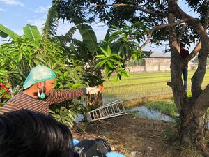 Akhir Hidup Pemuda Sidoarjo Gantung Diri di Pohon Mangga