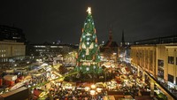 Menurut pemerintah kota Dortmund, ini merupakan pohon Natal terbesar di dunia.  