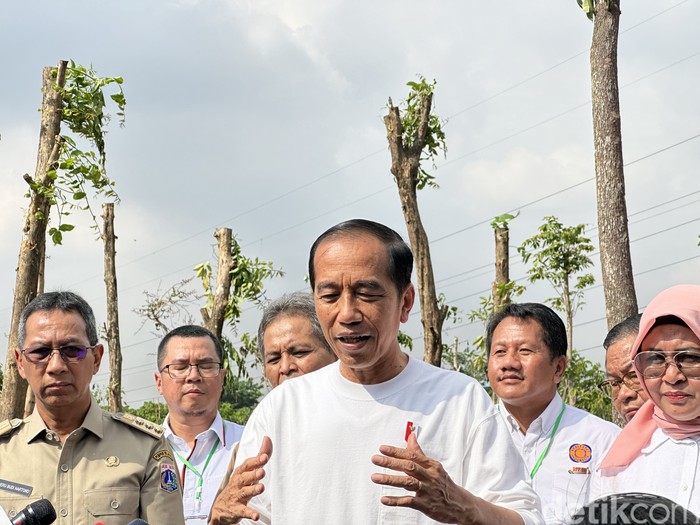 Presiden Jokowi (Isal Mawardi/detikcom)