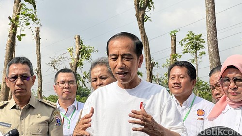 Presiden Jokowi (Isal Mawardi/detikcom)