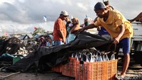 Hasil tangkap nelayan di Likupang umumnya adalah ikan cakalang.  