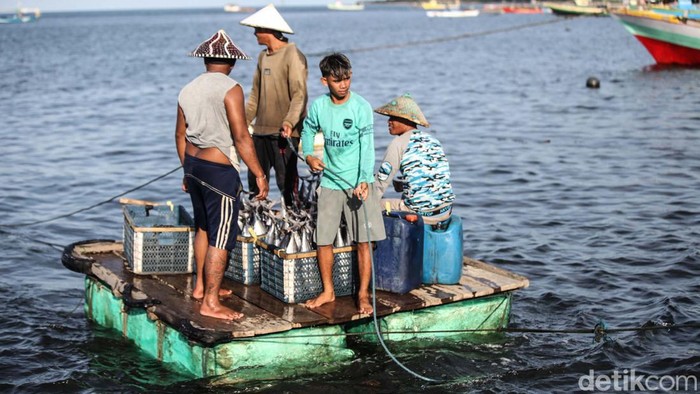 Senangnya Nelayan di Likupang Dapat Pinjaman UMi Nelayan menjadi salah satu mata pencaharian warga Likupang, Sulawesi Utara. BRI hadir memberikan dukungan lewat pembiayaan Ultra Mikro (UMi) untuk nelayan.