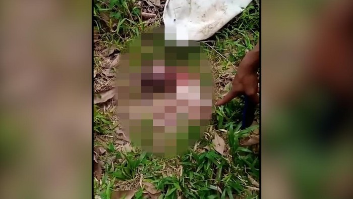 Warga Lampung Selatan dibuat geger dengan penemuan mayat bayi dengan kondisi bagian tubuh tidak utuh.