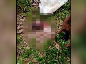 Kasus 2 Bayi Ditemukan Tewas di Lamsel, Polisi: Saat Dibuang Masih Hidup