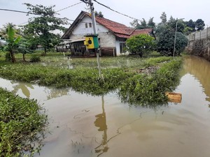 Hujan Deras di Bogor, Banjir Setinggi 1 Meter Rendam Sejumlah Rumah Warga