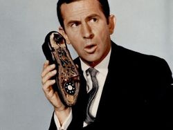 Foto Bersejarah dari Demam Lady Diana Sampai Kucing Bill Clinton